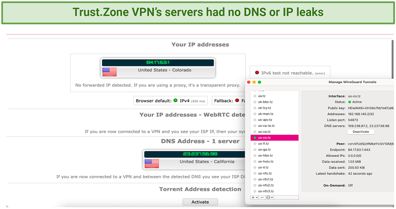 Graphic showing Trust.Zone VPN's leak test results