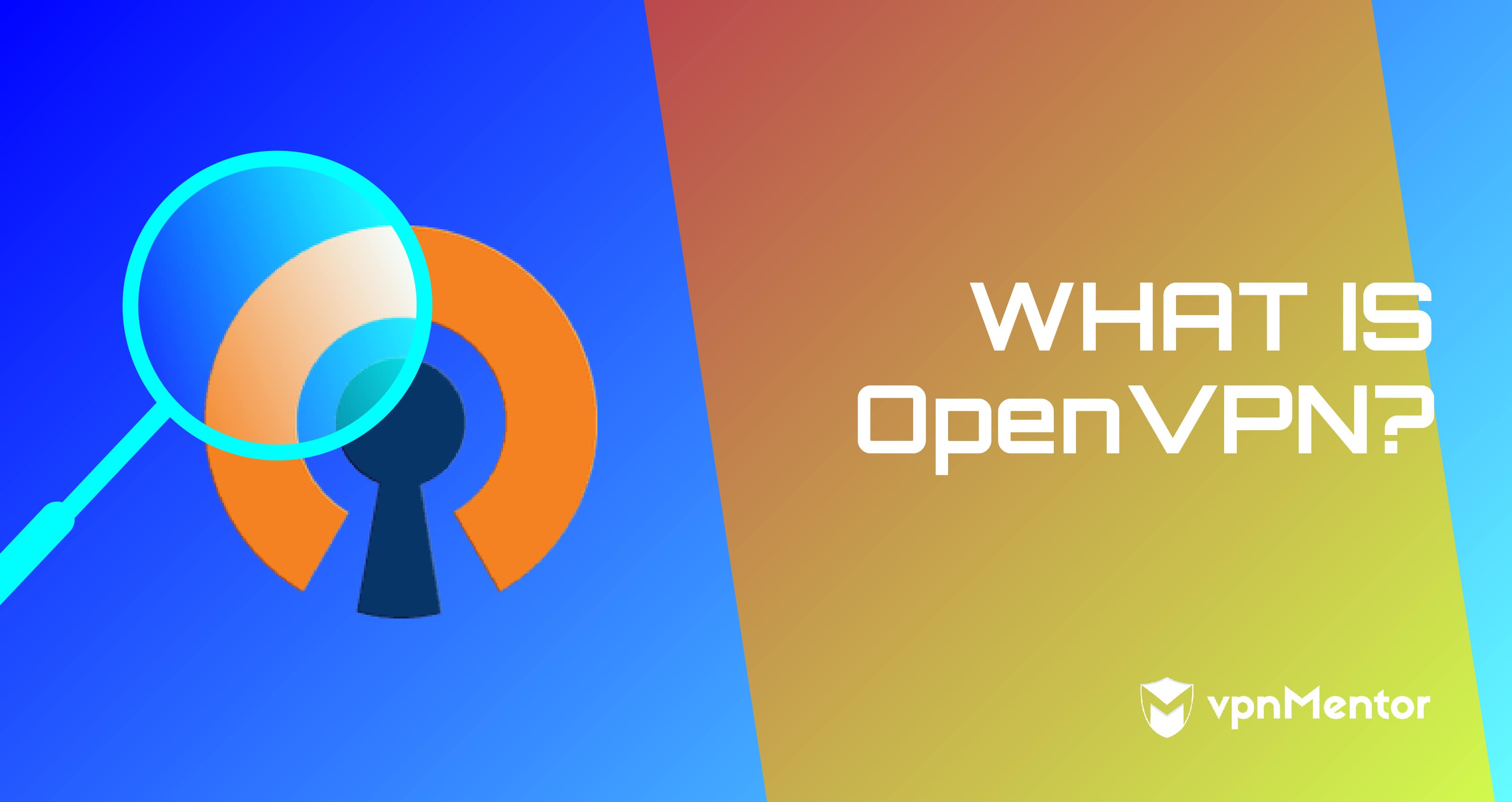 What is OpenVPN?