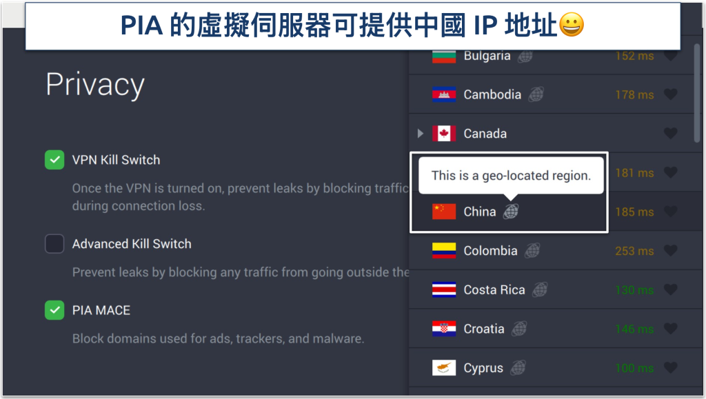 Screenshot of PIA's privacy settings and virtual servers in the app